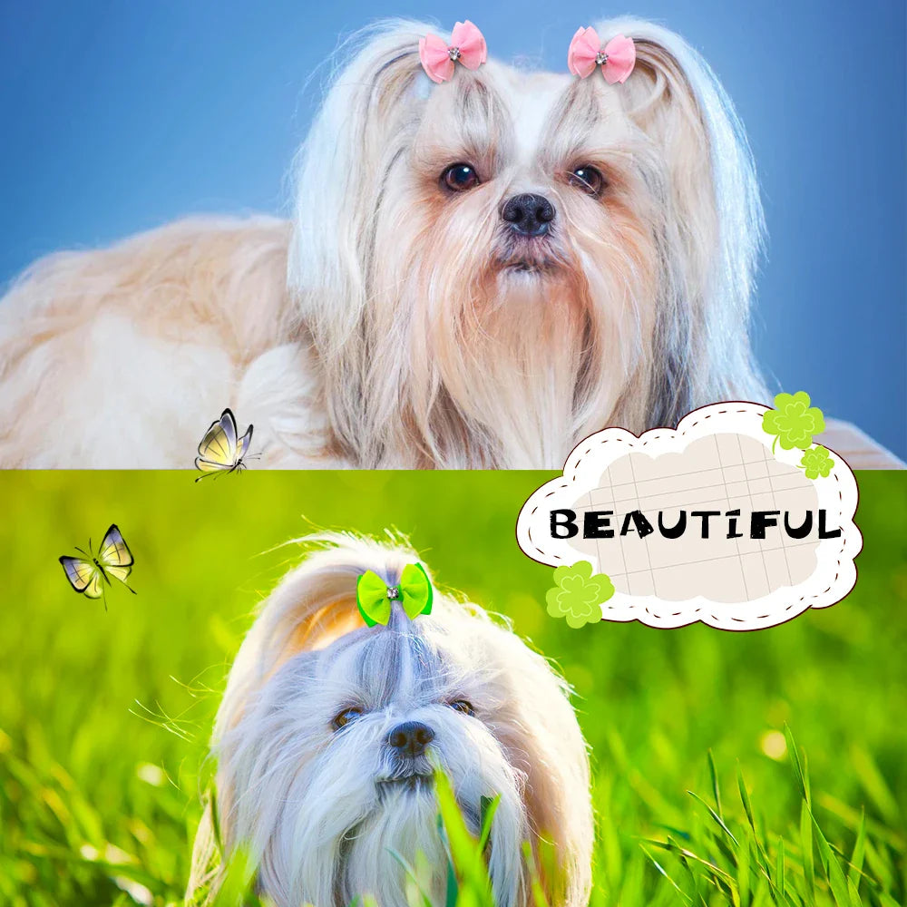 10pcs Dog bows Cute Chiffon Dog Hair Bows Diamond  Dog Hair Accessories Det grooming Bows Dog Accessories for Small Dogs